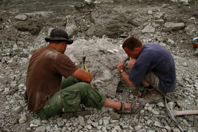 Excavations in the Late Triassic locality at Lisowice, Poland.