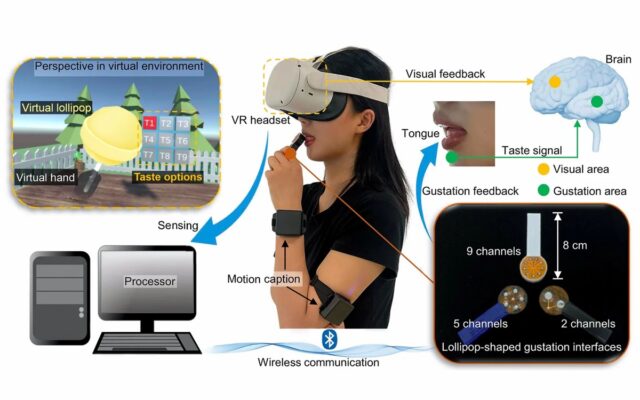 Schematic diagram of the gustation interfaces for providing taste feedback to a female user in a virtual environment.