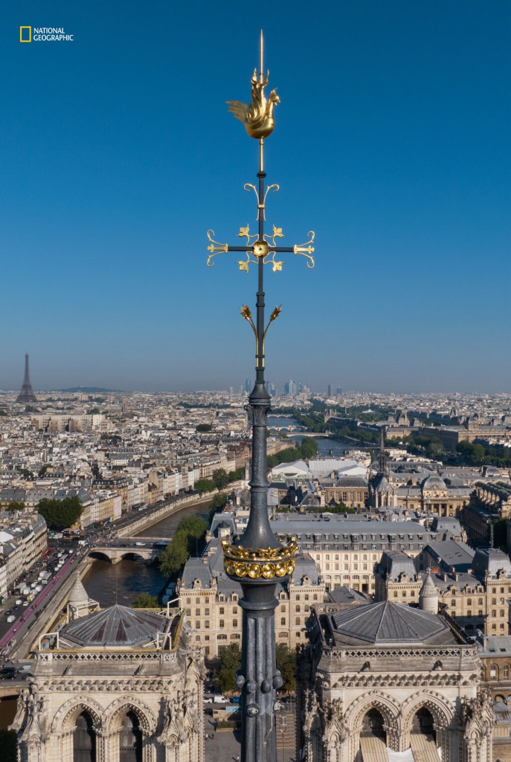 Newly designed gilded bronze roster graces the top of the spire, symbolizing the cathedral rising from the ashes.