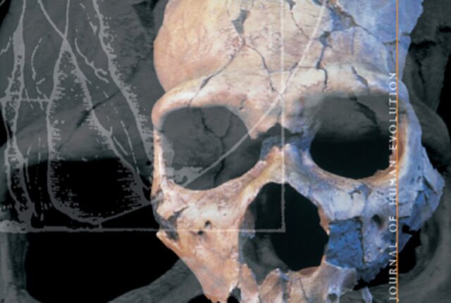 portion of journal cover featuring a human skull