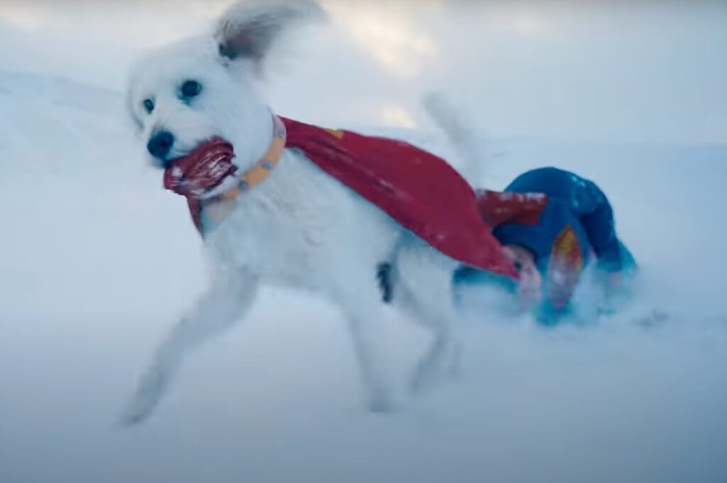 Little white dog with a piece of Superman's cape in his mouth, pulling Superman to safety