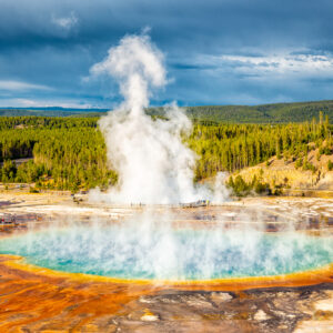 Image of two brightly colored hydrothermal pools set against a forested hillside.