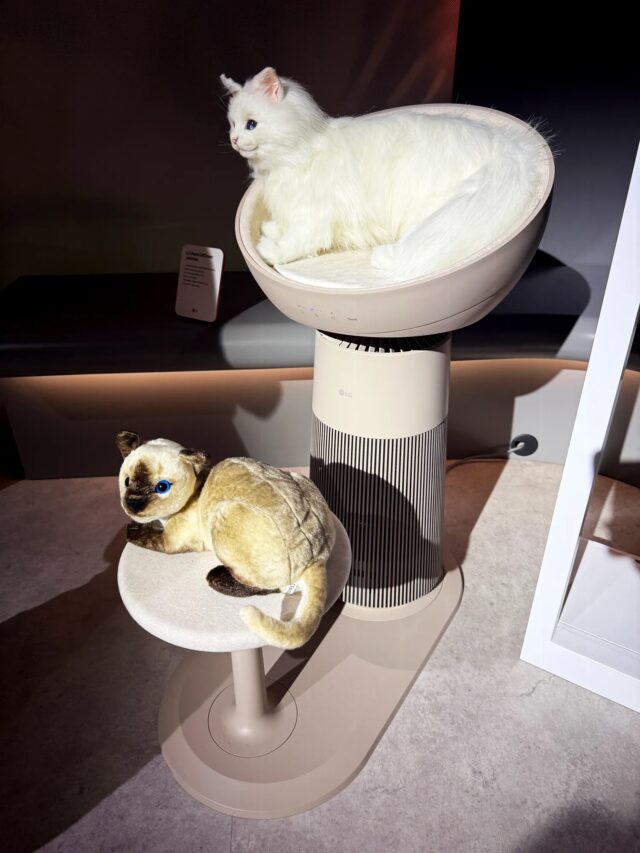 Two fake cats, sitting on seats atop an air purifier at CES 2025