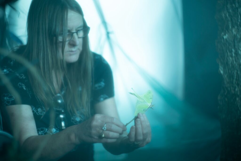 Animal wrangler Janice Smith works with a luna moth.