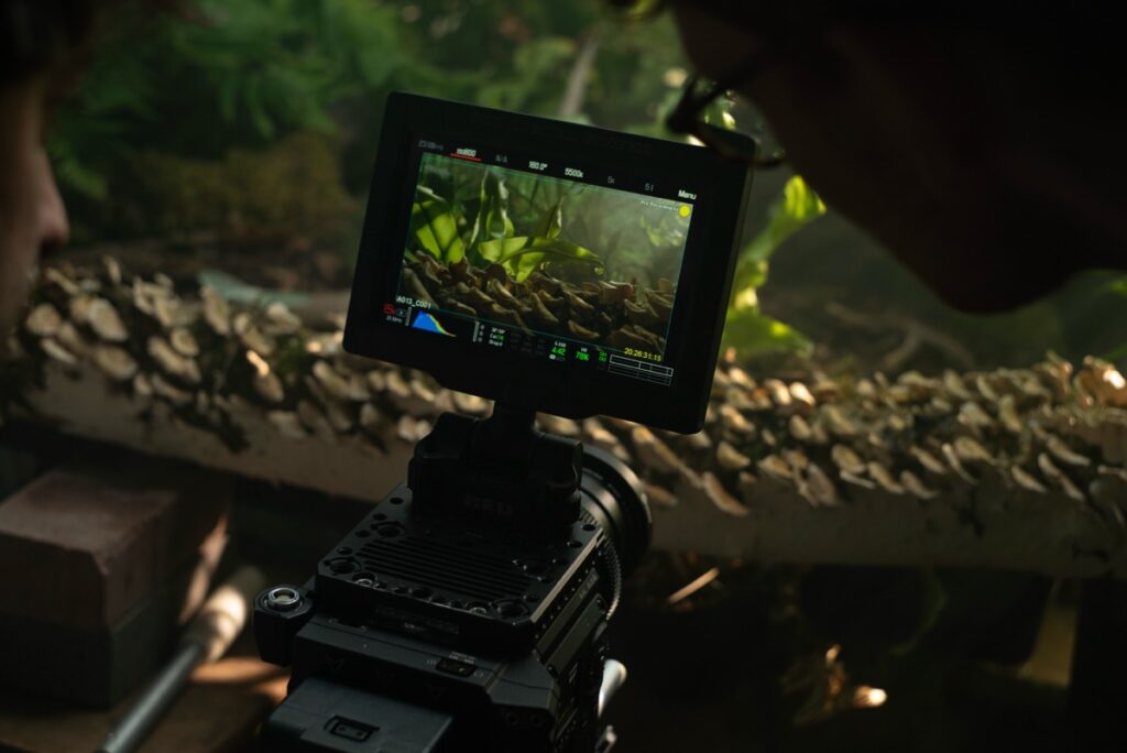 Shooting researcher Oliver Halsey and McDonald Smith look at a screen during a studio shoot.