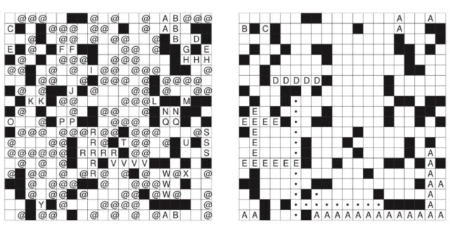 In this sample realization, sites with black sites are shown in black; empty sites are white; and occupied sites contain symbols and letters.