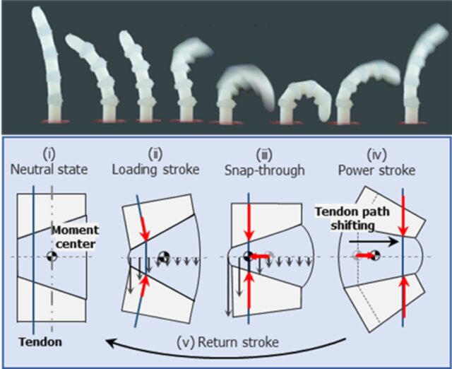 The operating principle of the Hyperelastic Torque Reversal Mechanism (HeTRM) involves compressing an elastomeric joint until it reaches a critical point, where stored energy is instantaneously released.