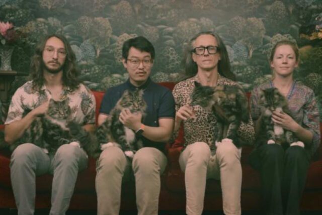 Left to right: UNSW researchers Benjamin Wilhelm, Xi Yu, Andrea Morello, and Danielle Holmes, all seated and each holding a cat on their lap