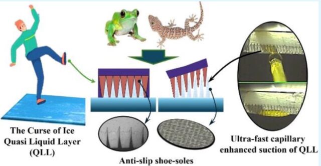 diagram of wet ice's quasi slippery layer and design of anti-slip shoe soles inspired by gecko and toad foot pads