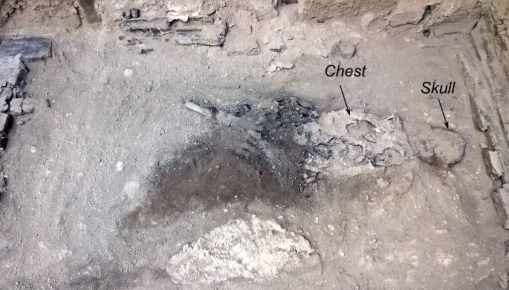 Annotated image of the remains of the deceased individual in situ in their bed in the Collegium Augustalium