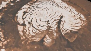 Image of the northern pole of Mars, including a white, oddly shaped covering in the center, surrounded by reddish-brown terrain.