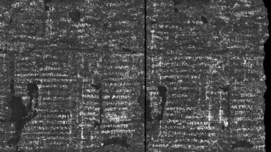 X-ray image of the PHerc.172 scroll