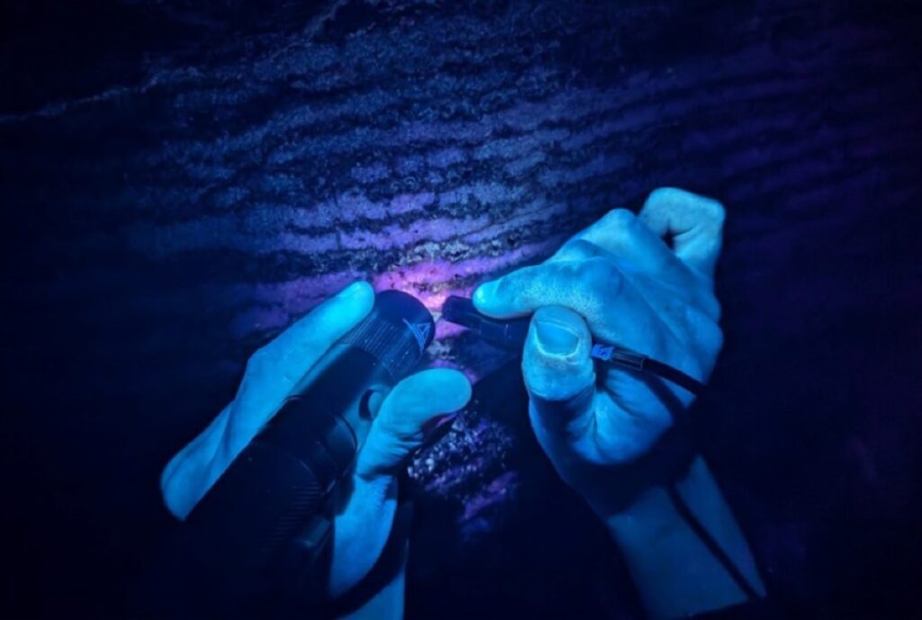 Several fluorescence measurements of a zebra calcite in Wind Cave were taken using portable spectrometers.