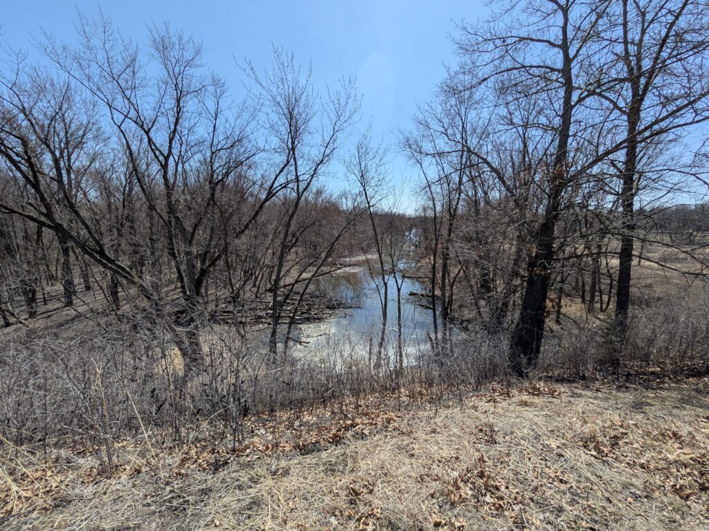 Pixel 9a landscape