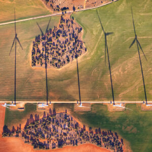 A row of wind turbines leave long shadows over an agricultural field behind them.
