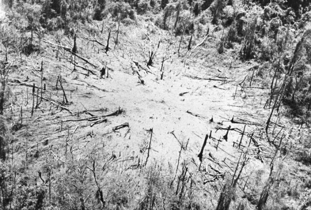 50 years later, Vietnam’s environment still bears the scars of war