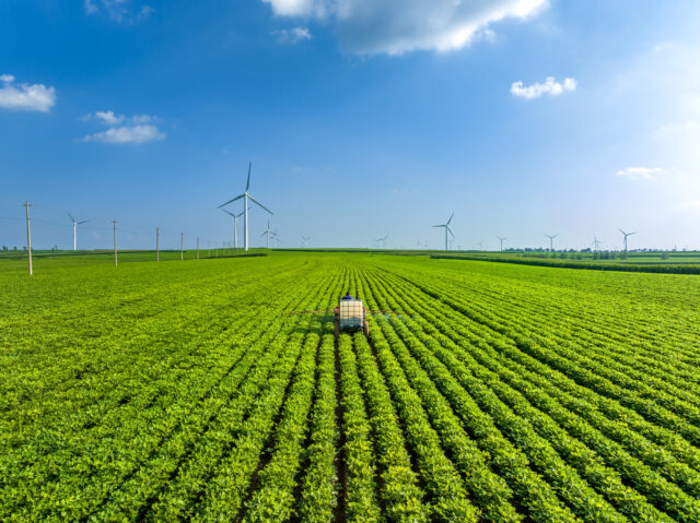 USDA cuts could cause long-term damage, reverse hard-won progress