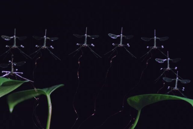RoboBee sticks the landing