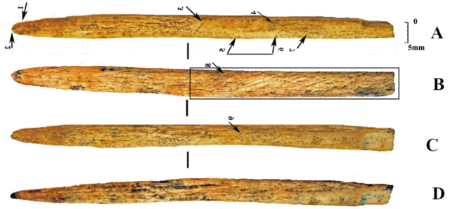 Neanderthals invented their own bone weapon technology by 80,000 years ago