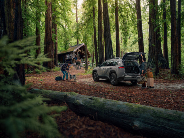 A toyota RAV4 in the woods