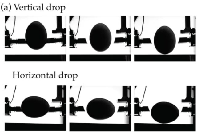 Experimental snapshots for vertical (top) and horizontal (bottom) egg drops.
