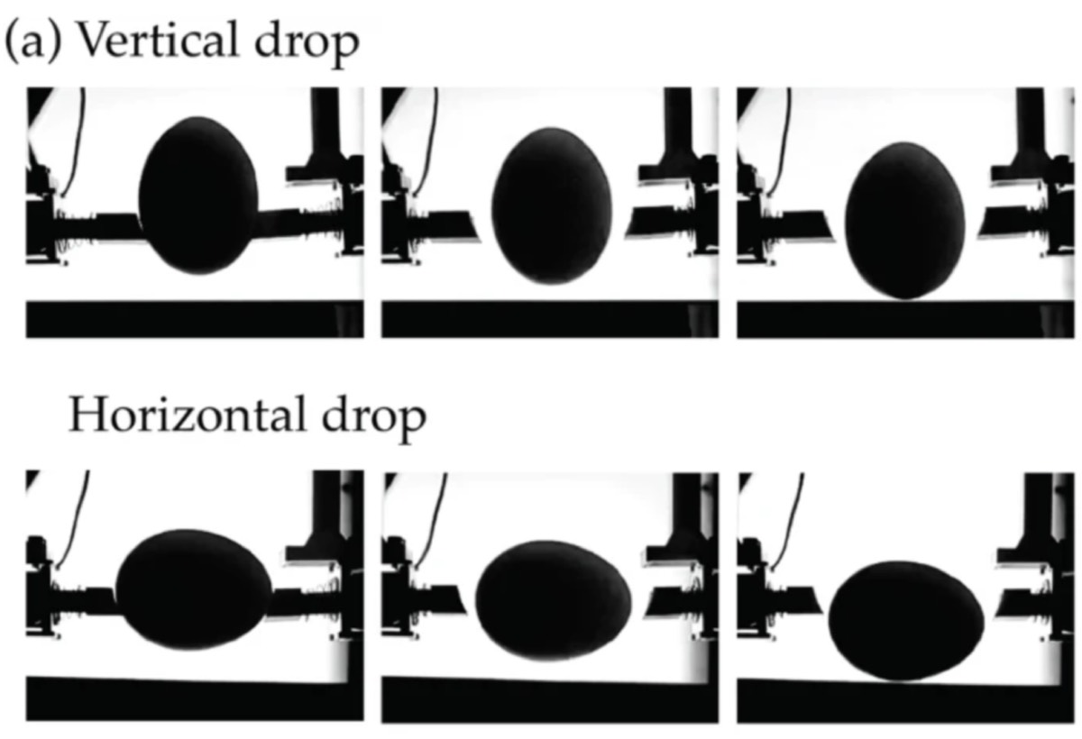 30 Amazing Egg Drop Ideas - Educators Technology, image size:1200x820