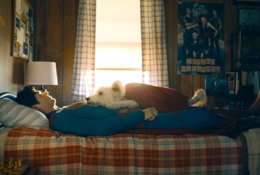 superman lying on a bed with a little white dog in a red cape on his chest.