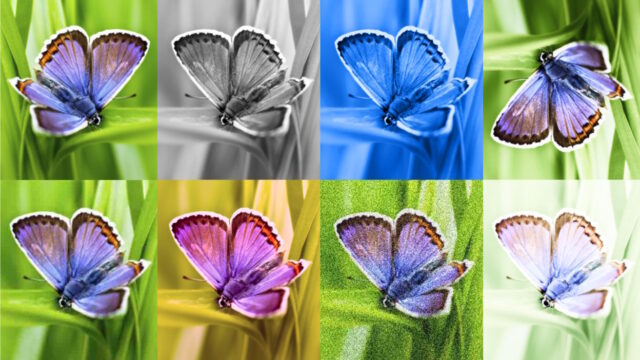 Google Launches Online Portal to Detect Watermarked AI Content