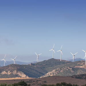 Image of a dry, brown hillside with lots of small scrub, and white wind turbines in the background.
