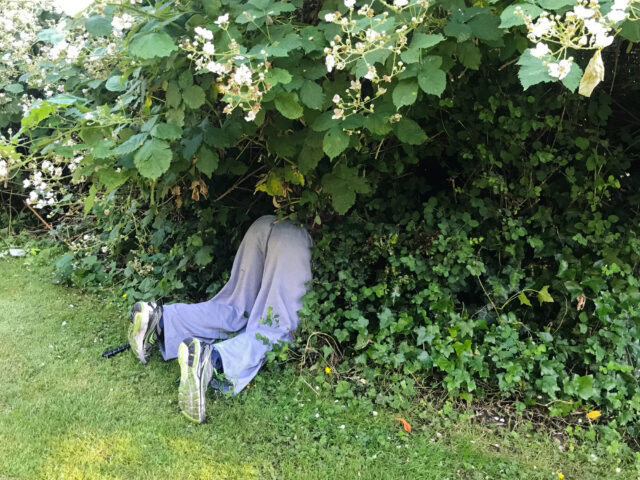 Worst hiding spot ever: /NSFW/Nope/Don’t open/You were Warned/