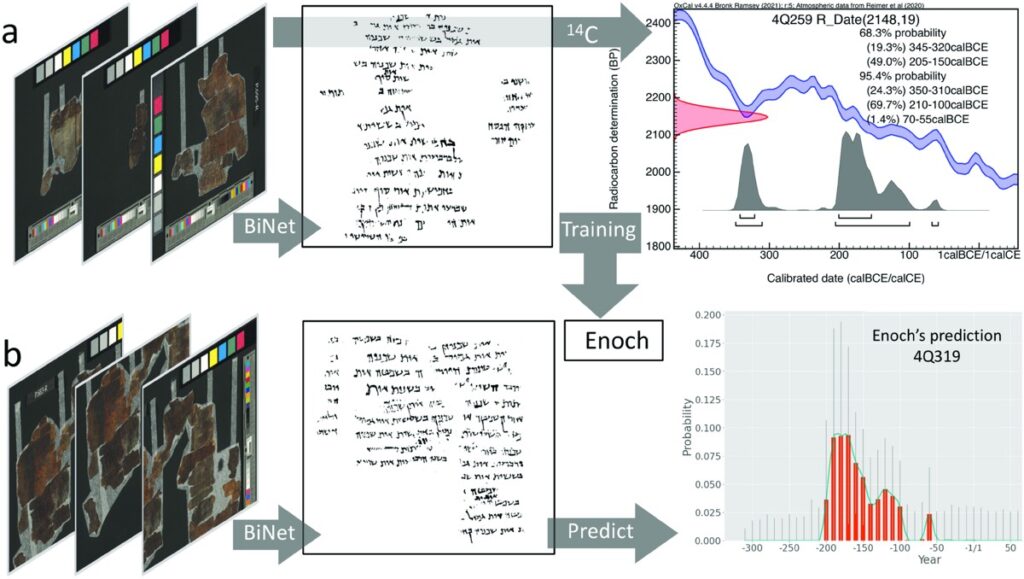 By combining writing styles with carbon-14 dates of manuscripts using artificial intelligence, the date-prediction model Enoch is able to produce an accurate date for the manuscript.