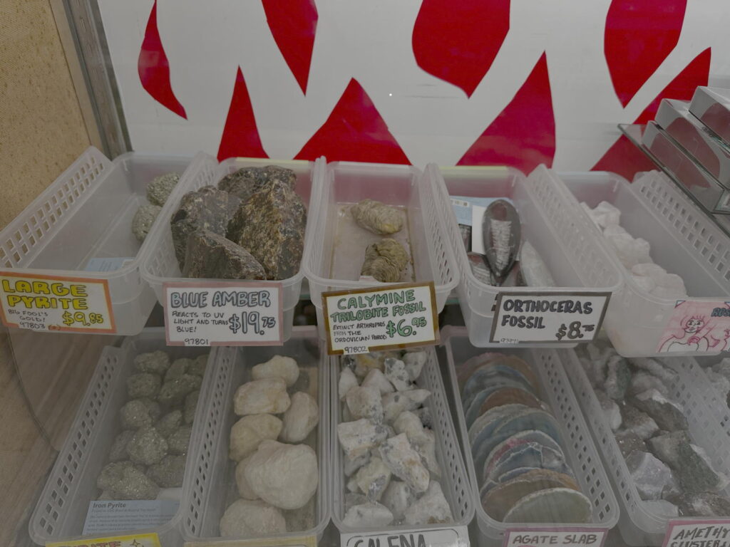fósiles y rocas
