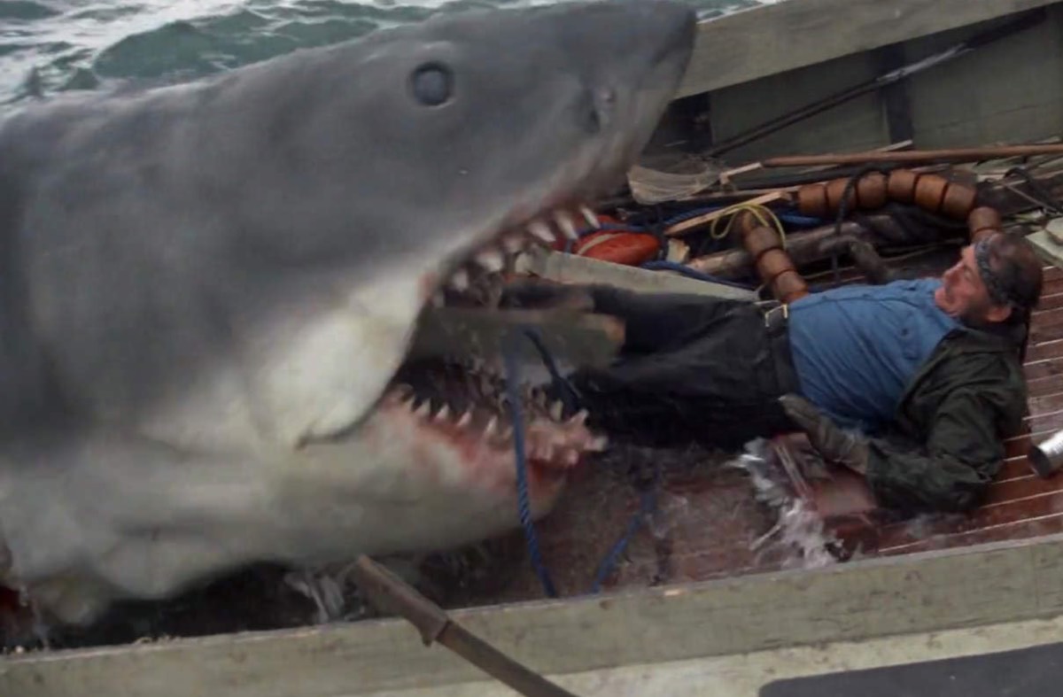 great white shark chomping on a man's legs on the deck of a partially sunken boat