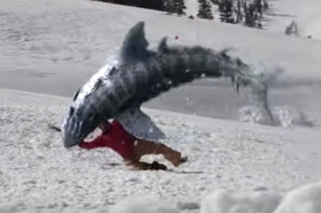 a large shark leaping out of the show to devour a hapless skier