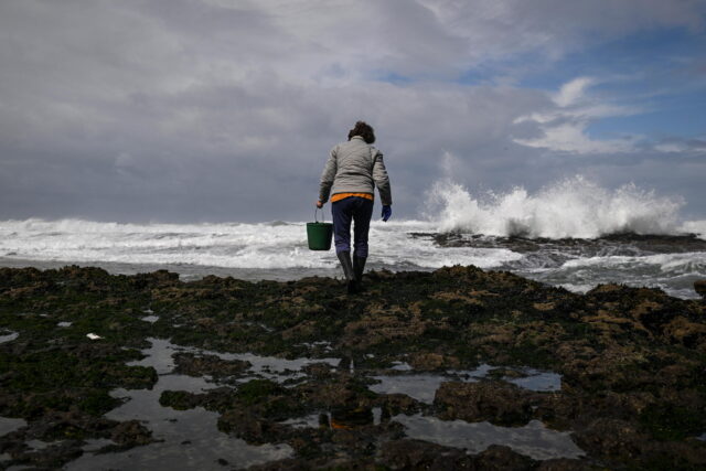 Ocean acidification crosses “planetary boundaries”