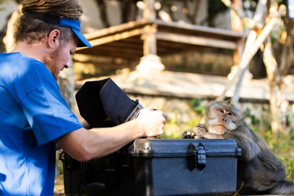 Cinematographer Tom Beldam films a long-tailed macaque who stole his smart phone minutes later.
