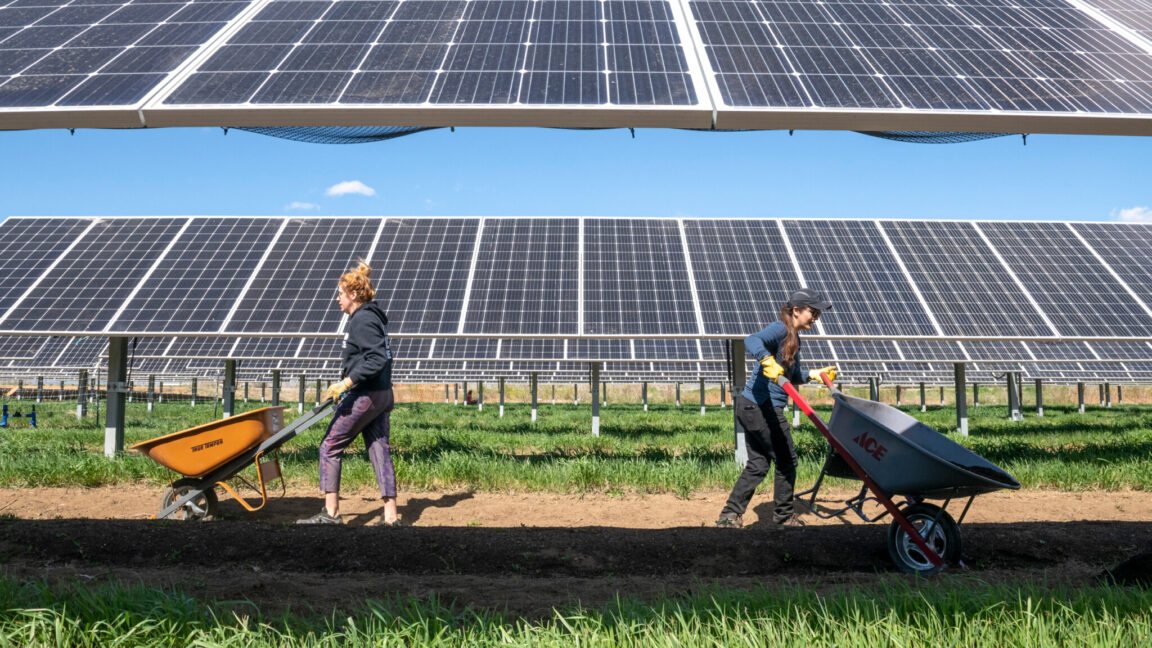 In the Southwest, solar panels in can help both photovoltaics and crops