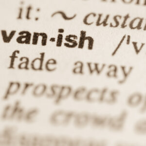 Dictionary definition of the word "vanish."