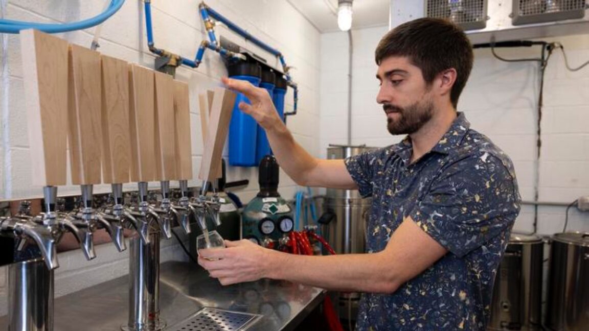Rice could be key to brewing better non-alcoholic beer