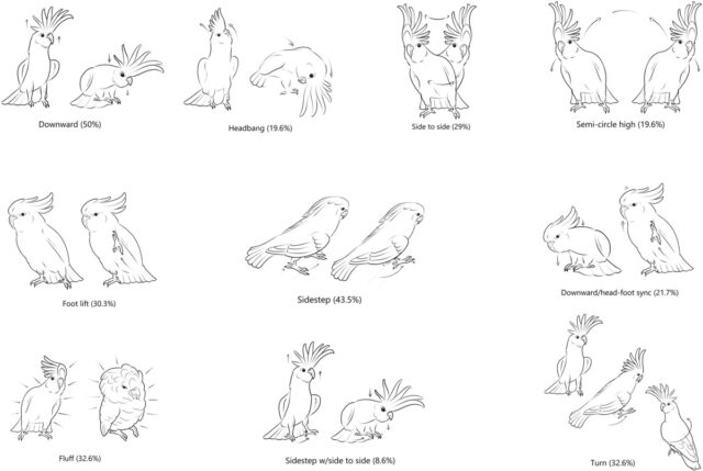 Illustration of the 10 most common recorded dance movements