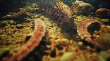 Exciting Science Discoveries You Might Have Missed This Month