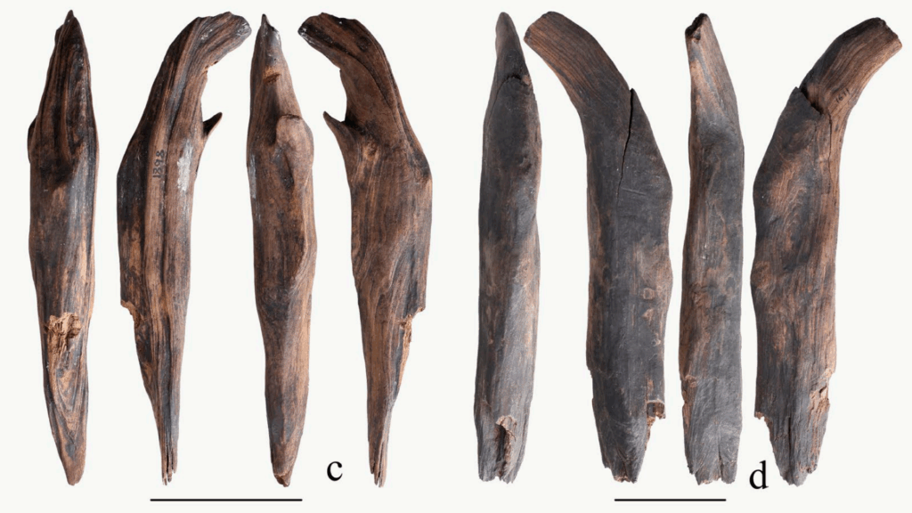 photo of hook-shaped wooden tools from several sides