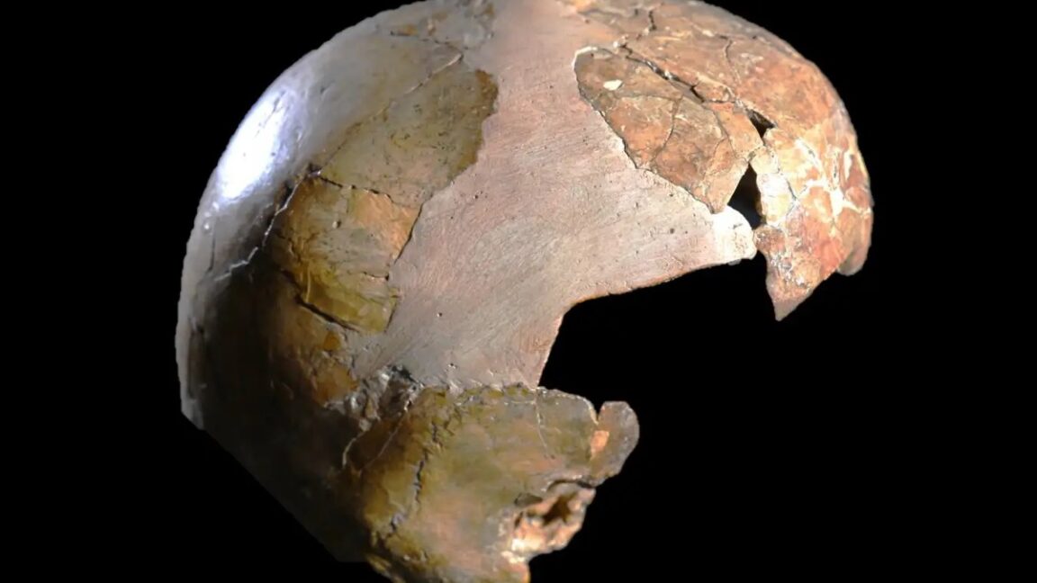 Ancient skull may have been half human, half Neanderthal child