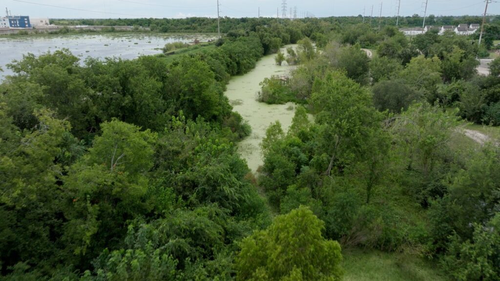 Sankofa Wetland Park and Nature Trail in the Lower 9th ward aims to protect the ward from future hurricanes and flooding.