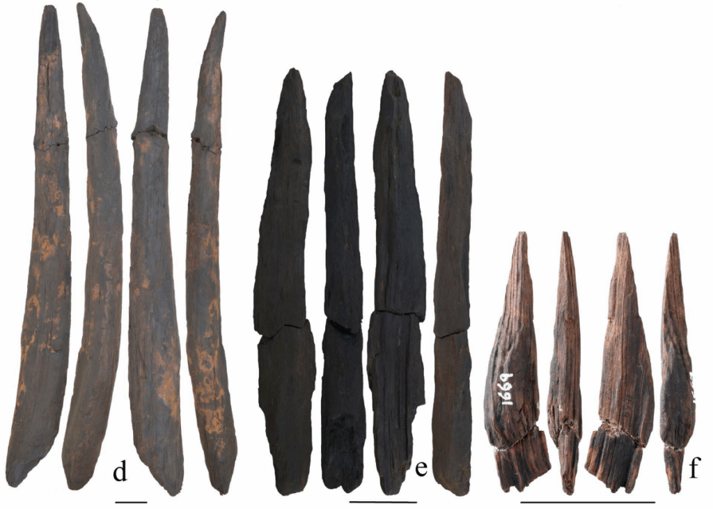 photo of several wooden digging sticks