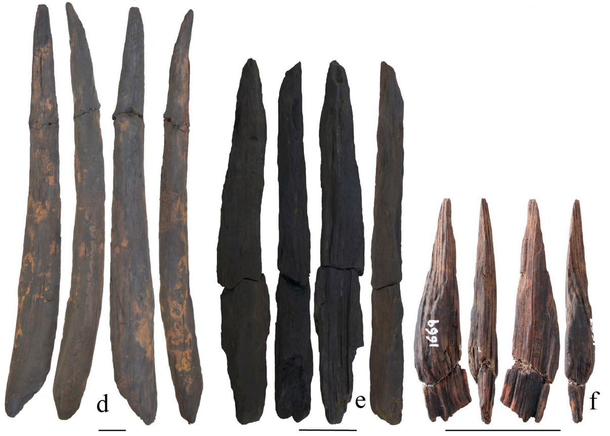 Oldest wooden tools in East Asia may have come from any of three