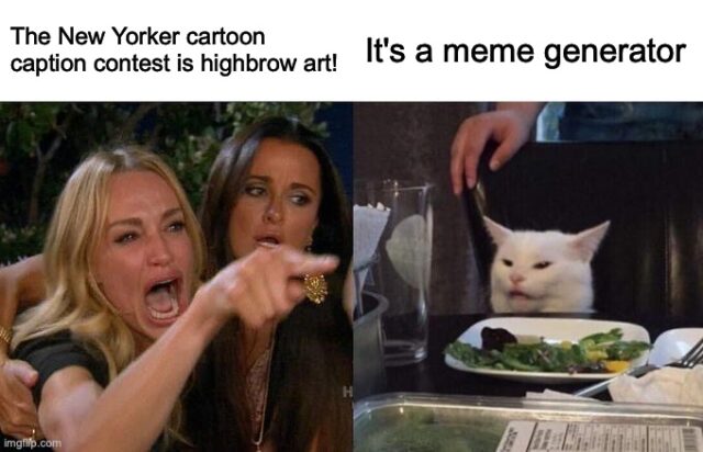 distraught woman pointing a finger and yelling, facing an image of a confused cat in front of a salad