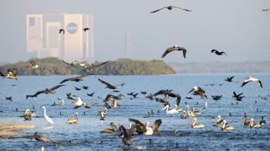 Trump's Executive Move: A New Era for Commercial Rocket Launch Regulations