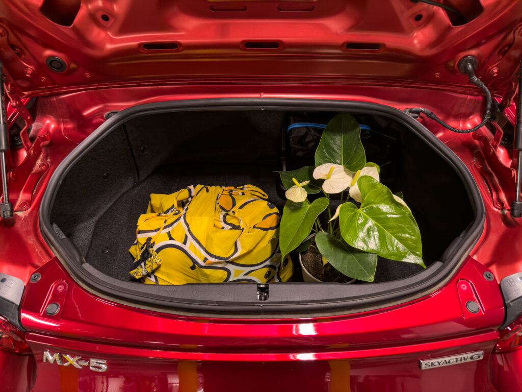 A shopping bag and a potted plant in the trunk of an MX-5 Miata