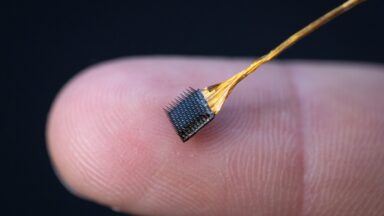 Unlocking the Mind: Researchers Develop Groundbreaking Inner Speech Decoder with Privacy Protections